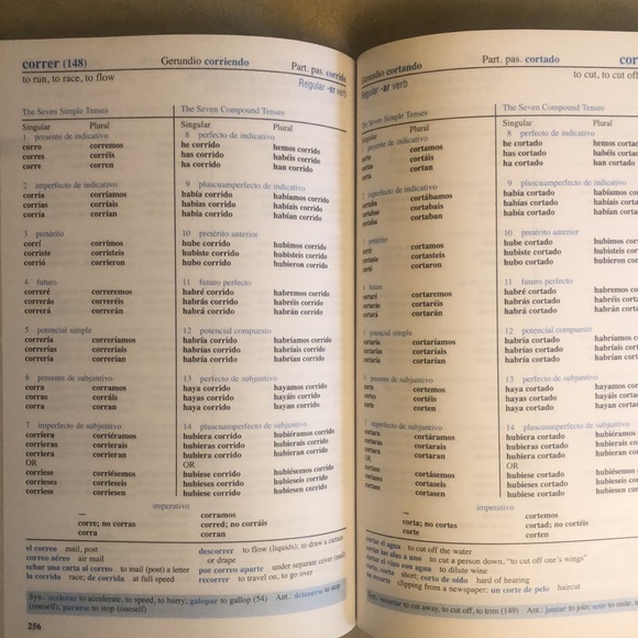 New Barrons 501 Spanish Verbs - Picture 6 of 8